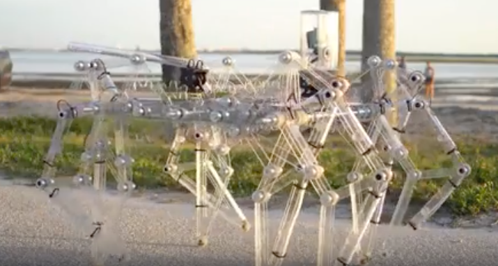 “Contraptions Guy” Jeremy Cook and his Strandbeests